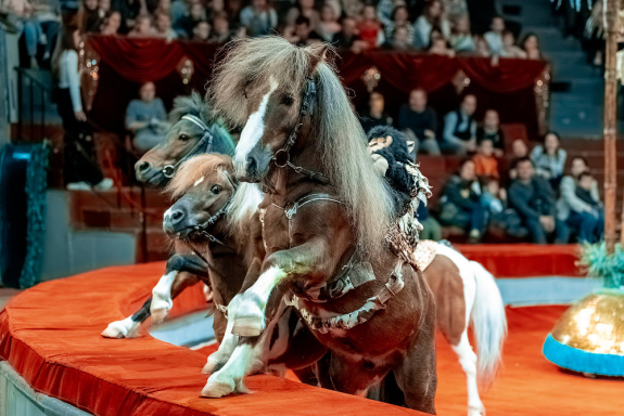 &Tcy;&rcy;&ocy;&pcy;&icy;&kcy; &shcy;&ocy;&ucy;